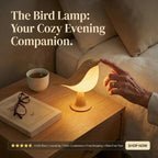 BirdZen - Cosy Ambient Light